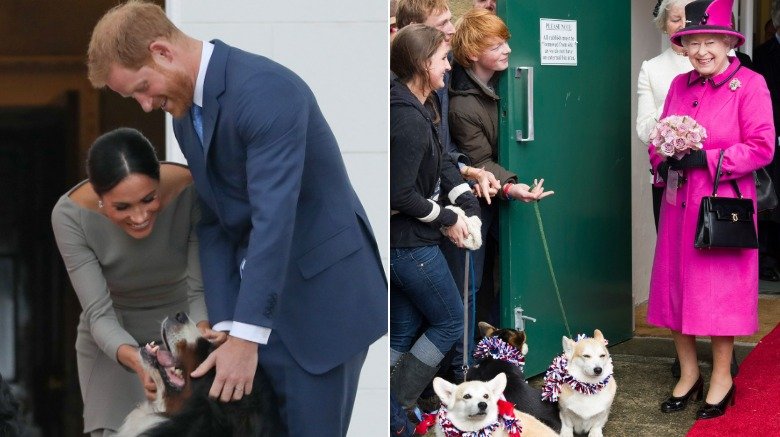 Meghan Markle, el príncipe Harry y un perro, la reina Isabel y Corgis