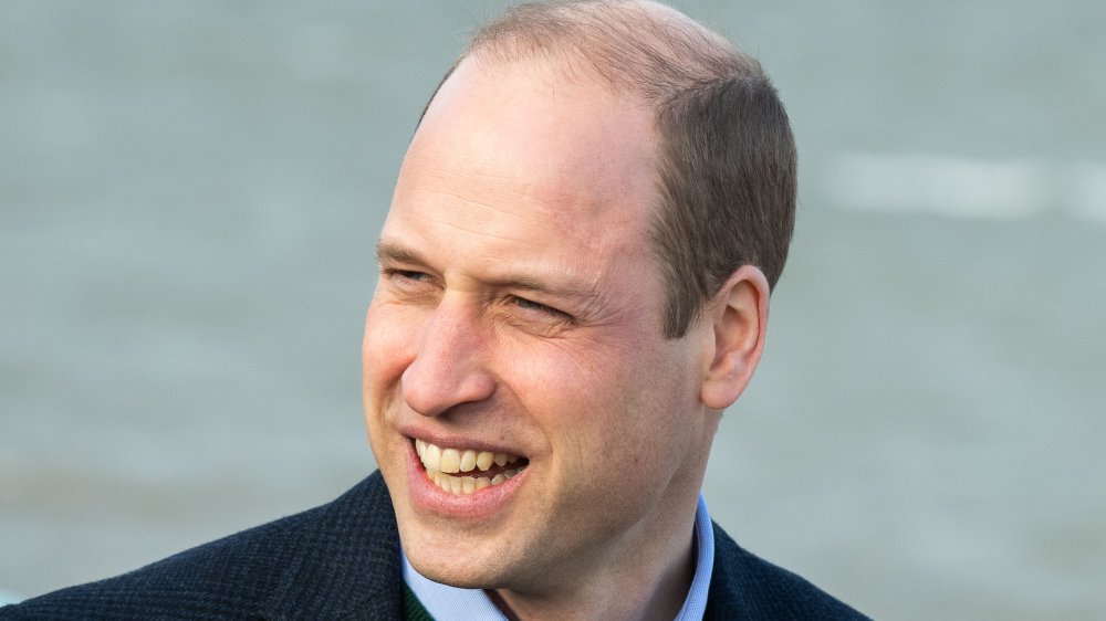 Principe William