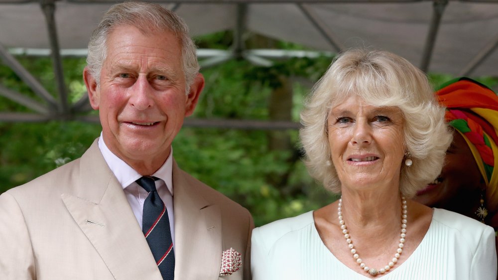 Príncipe Carlos, Camilla Parker Bowles