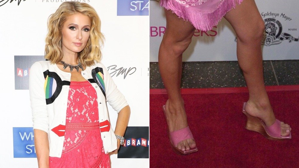 Paris Hilton / pies