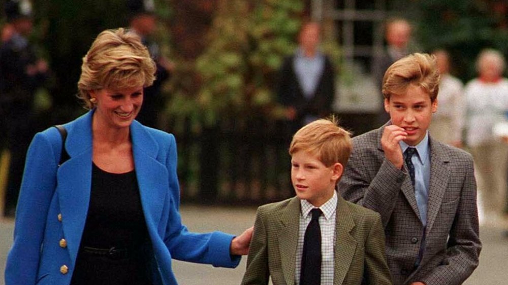 La princesa Diana, el príncipe Harry y el príncipe William