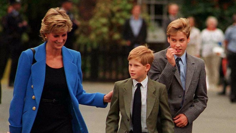 Princesa Diana, Príncipe Harry, Príncipe William