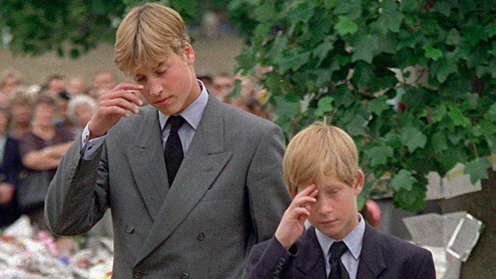 Príncipe William, Príncipe Harry después de la muerte de la princesa Diana