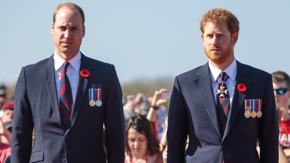 Príncipe William, Príncipe Harry de pie uno al lado del otro y luciendo solemne en un evento real