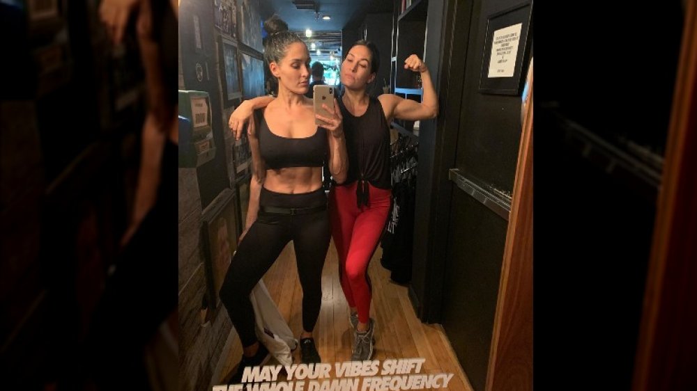 Nikki bella y brie bella