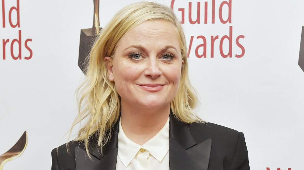 Amy poehler en la 72a entrega anual de los premios del gremio de escritores 