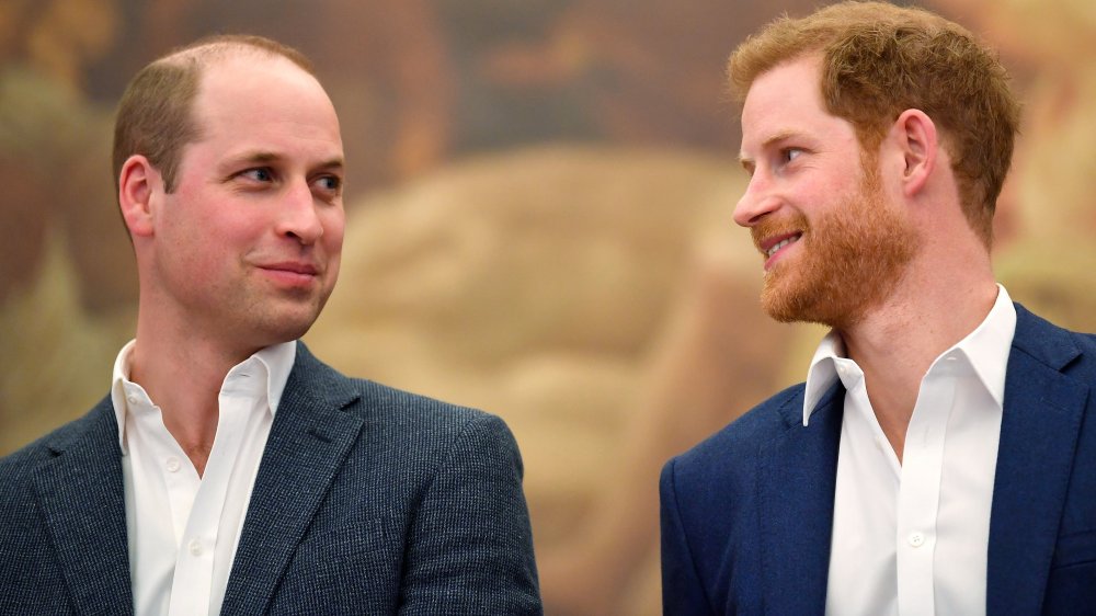 Príncipes William y Harry 