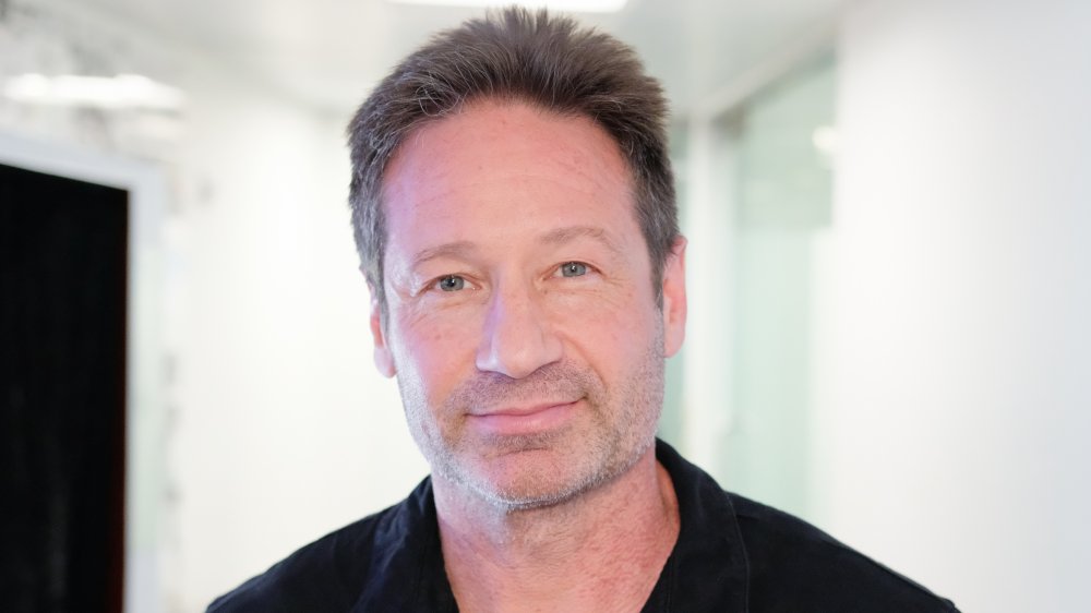 David Duchovny sonriendo a la cámara