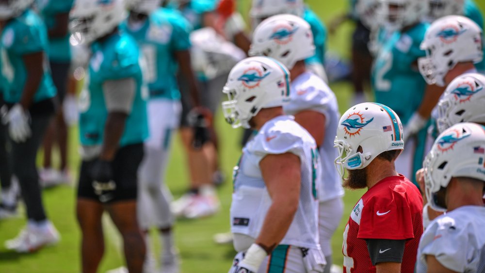 Miami Dolphins caminando en el campo de fútbol