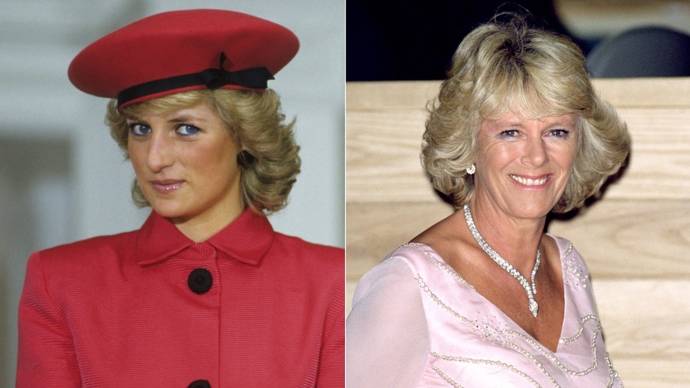 Princesa Diana, Camilla Parker Bowles