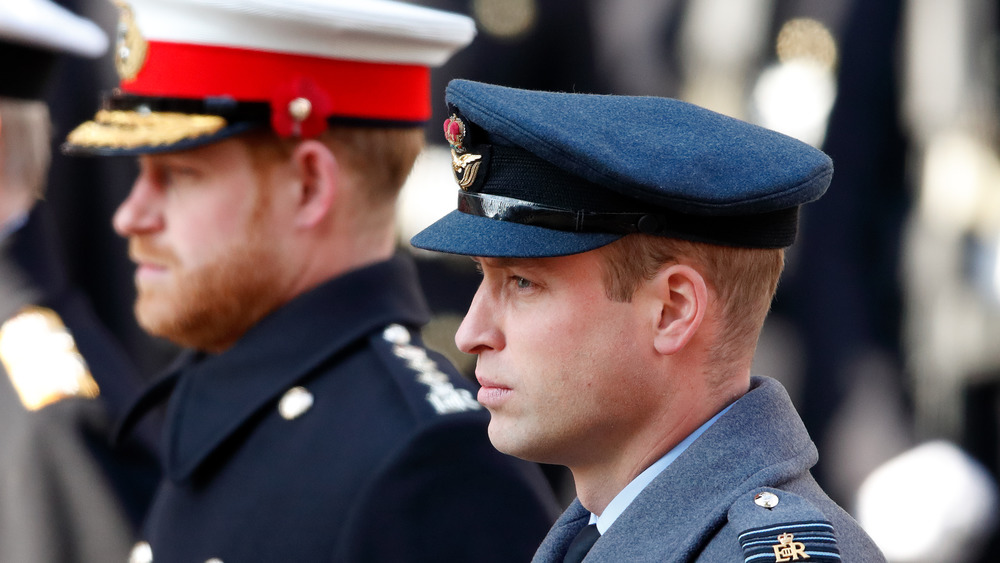 El príncipe Harry y el príncipe William mirando al frente