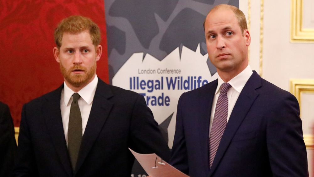 El príncipe William y el príncipe Harry se ven serios