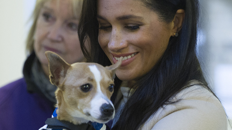 Meghan Markle sosteniendo un perro 