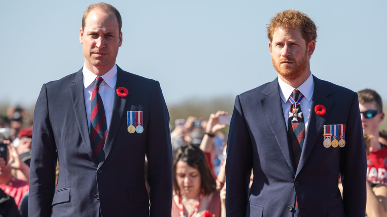 El príncipe Harry y el príncipe William posando 