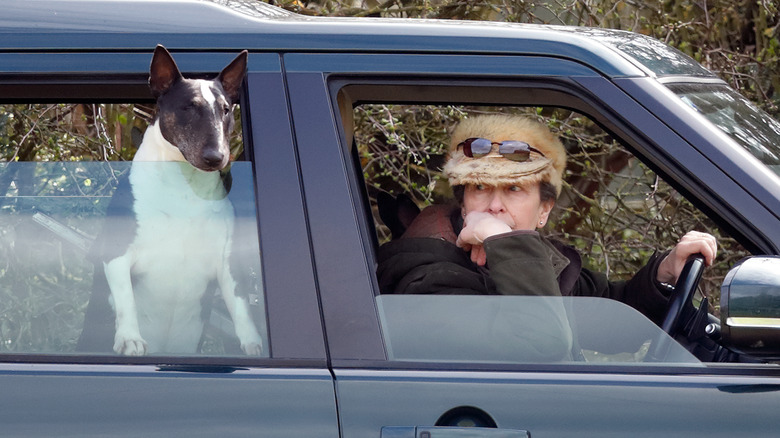 Princesa Ana en coche con perro