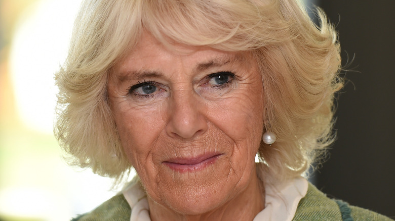 Camilla Parker Bowles posando 