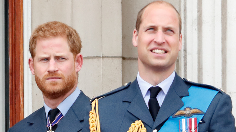 Los príncipes Harry y William posando 