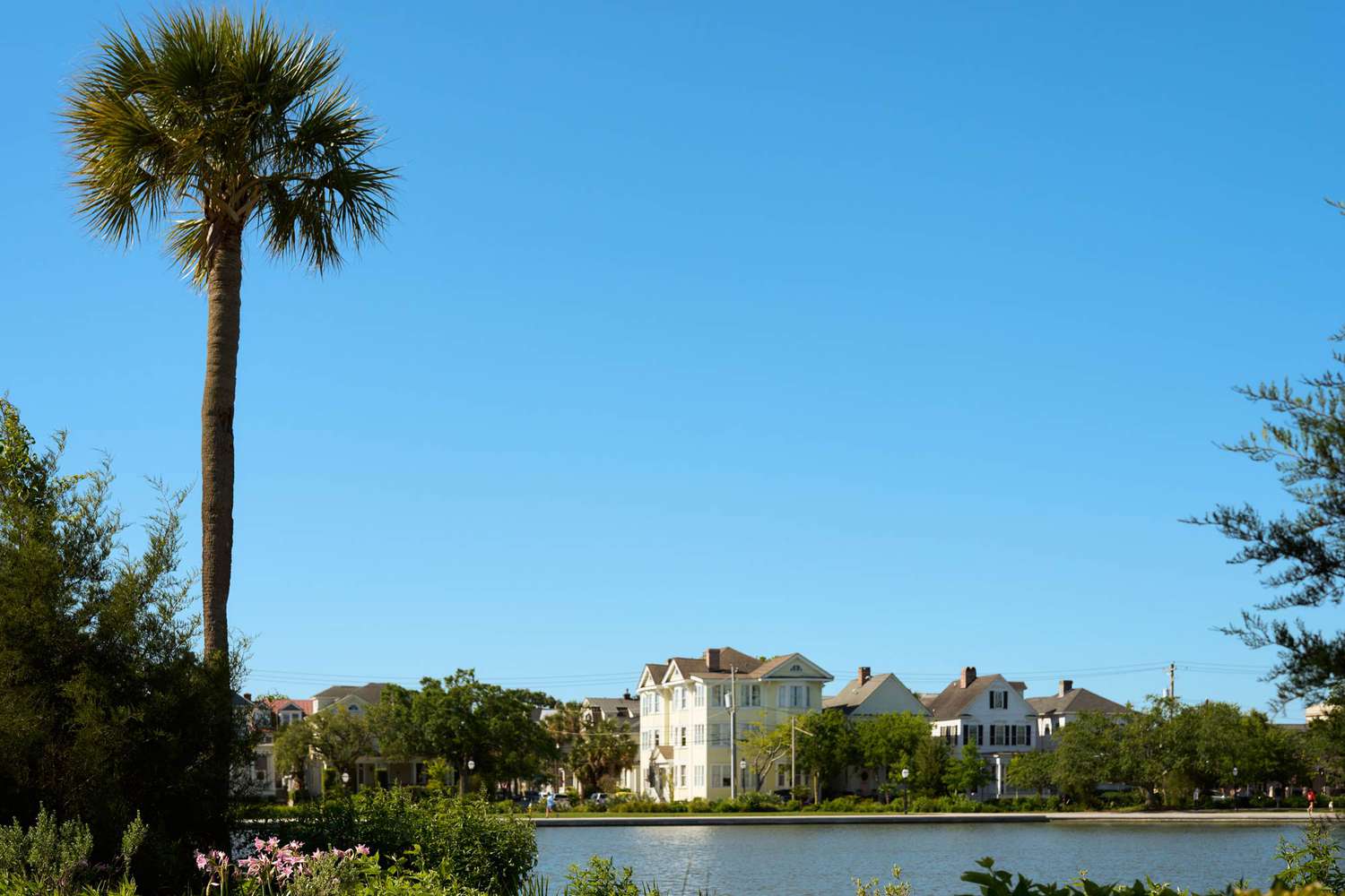 Casas de Charleston, Carolina del Sur y una palmera cerca del agua