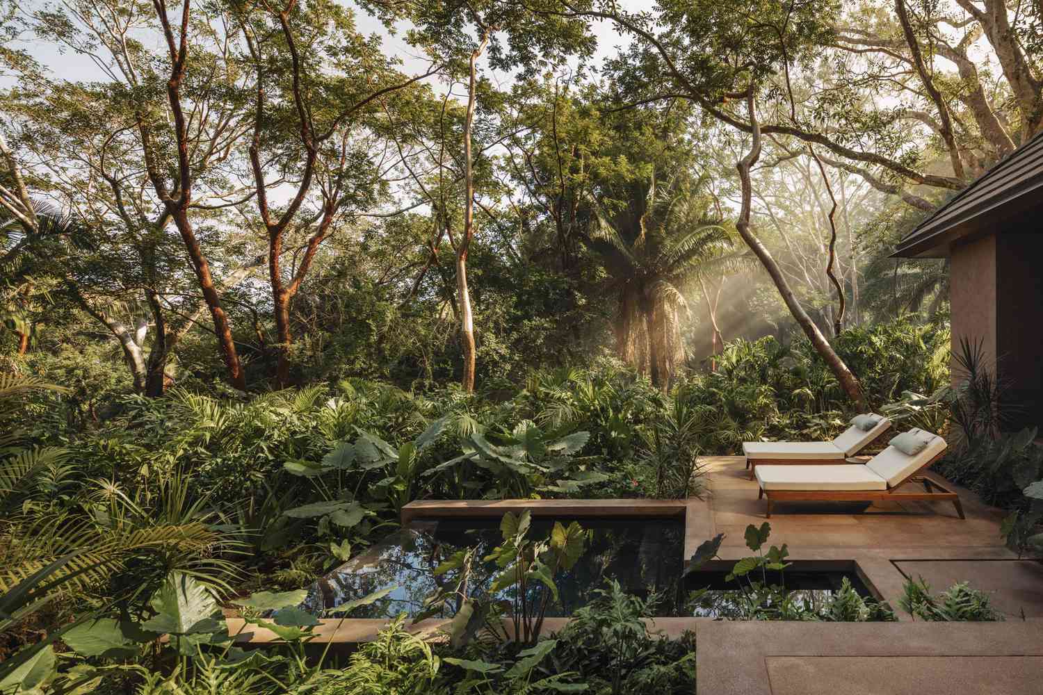 Piscina privada y tumbonas en la jungla mientras entra la luz del sol 