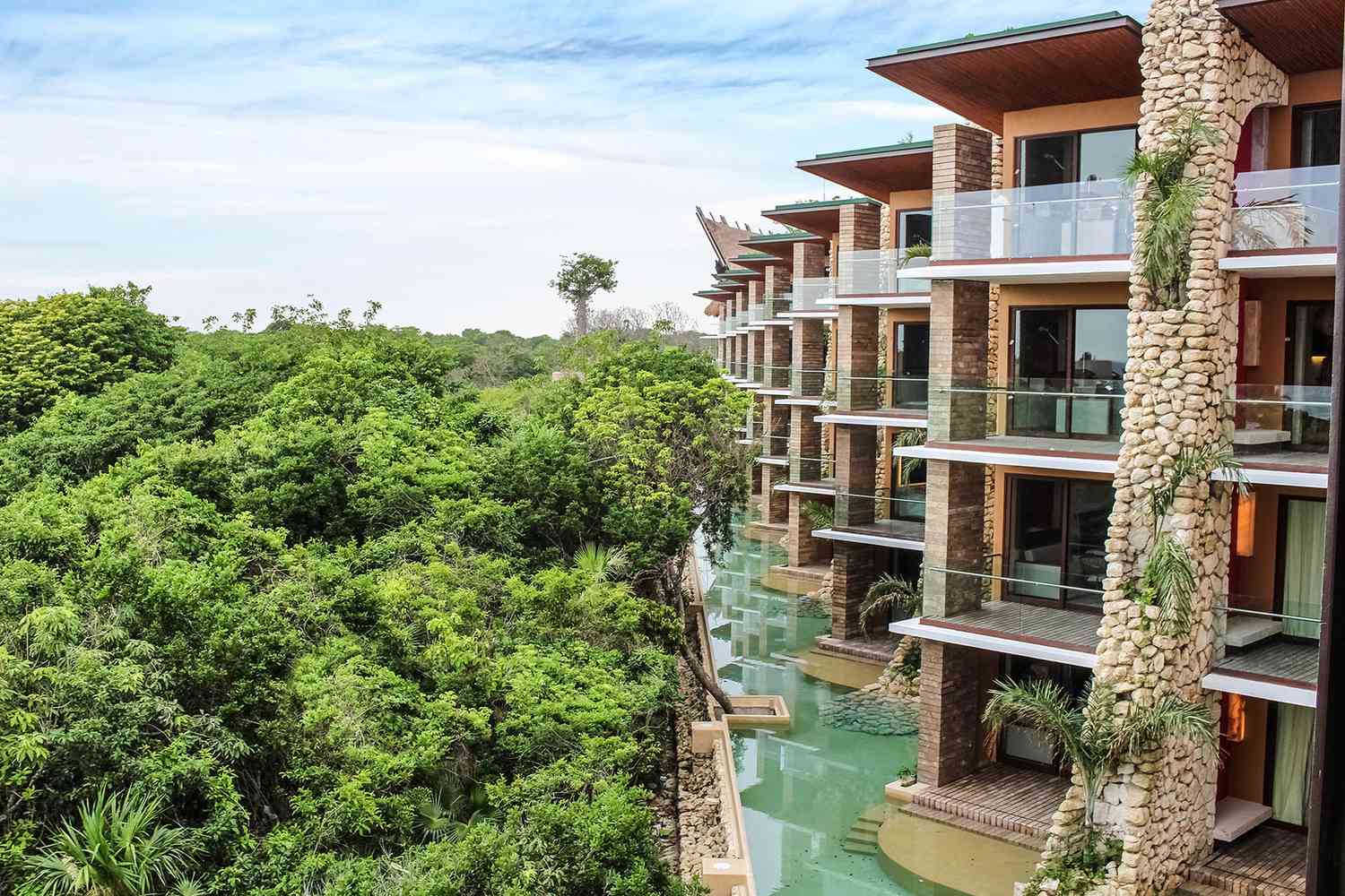 Vista exterior de las habitaciones con vistas a las copas de los árboles cubiertos de maleza 