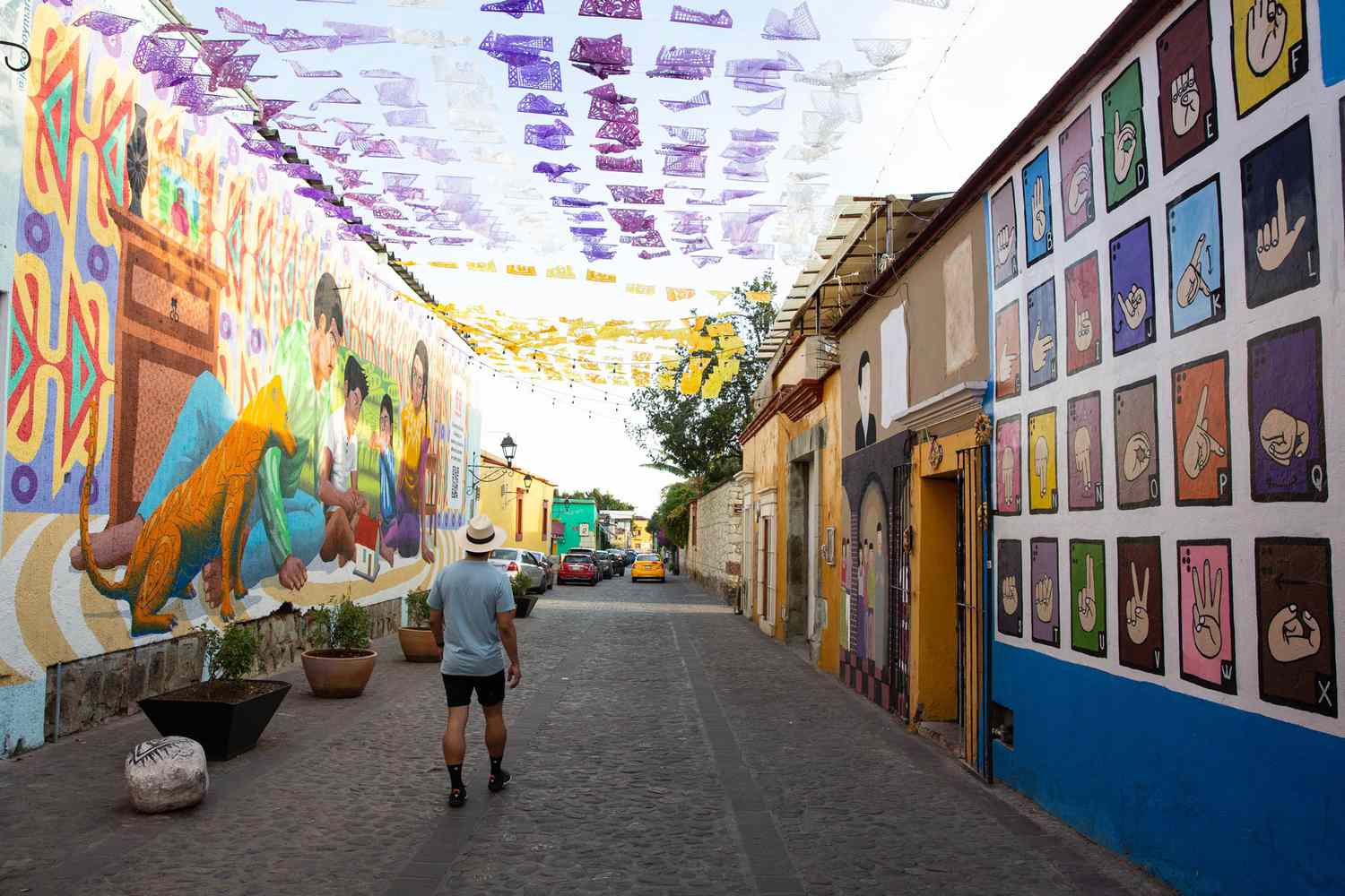 Vista de la calle con murales y papel de papel en Oaxaca, México