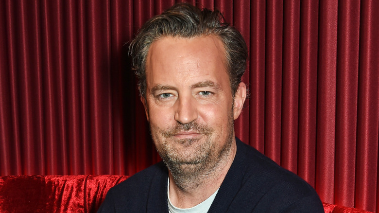 Matthew Perry, posando