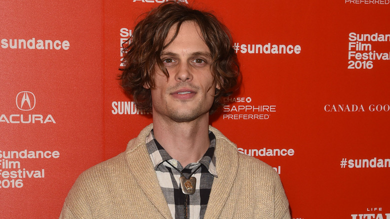 Gubler gris sonriendo