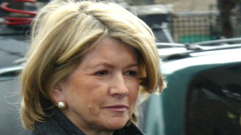 Martha Stewart caminando afuera de la corte